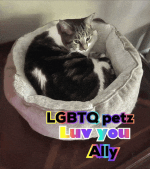Happy Birthday Ally: LGBTQ Petz Love