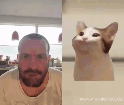 Man Reacts to Popcat Meme