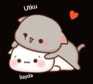 Utku and Ilayda: Cute Cuddling Cats