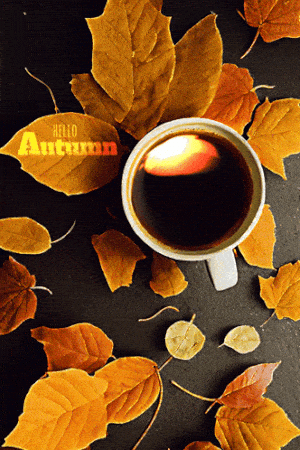 Hello Autumn Coffee & Leaves