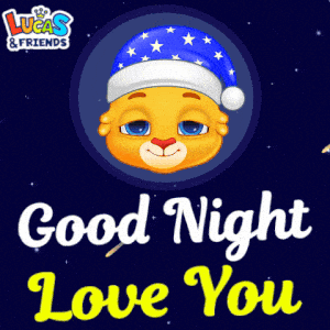 Good Night Love You