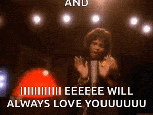 Whitney Houston: I Will Always Love You