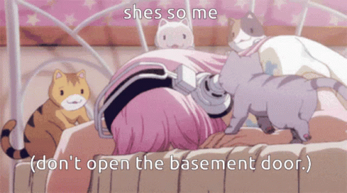 Supersonico Sleeping with Cats