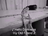 Sad Frog Sings Hello Darkness My Old Friend