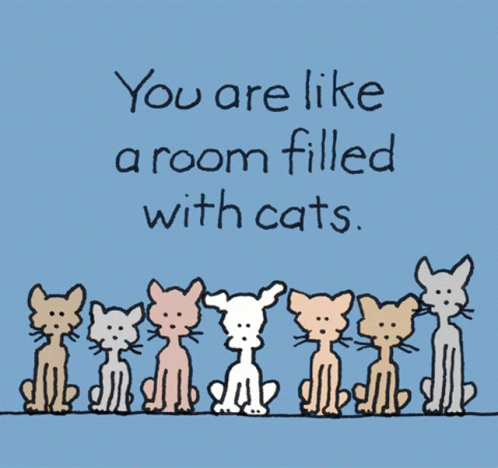 Purr-fection: A Room Full of Cats
