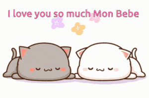 I Love You So Much Mon Bebe Cats