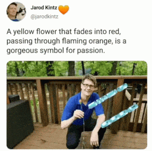 Love Passion