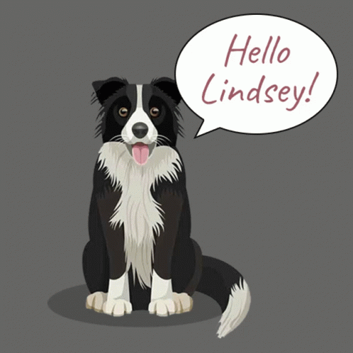 Hello Lindsey! Friendly Border Collie Greeting