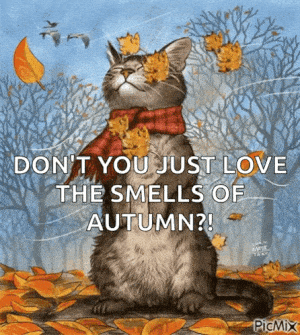 Autumn Cat: Love the Smells of Autumn