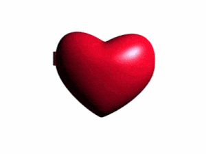 Artindi Heart Locket Reveals Failure