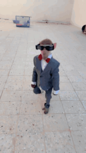 Dapper Monkey in Suit and Sunglasses