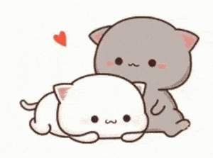 Fari Y Yo: Cute Cats Hugging