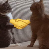 Cpamjoker Cats