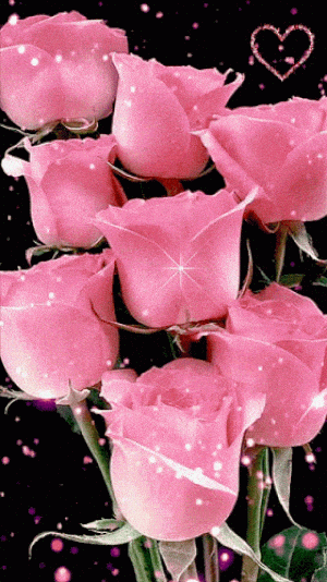 Sparkling Pink Roses with Love Heart