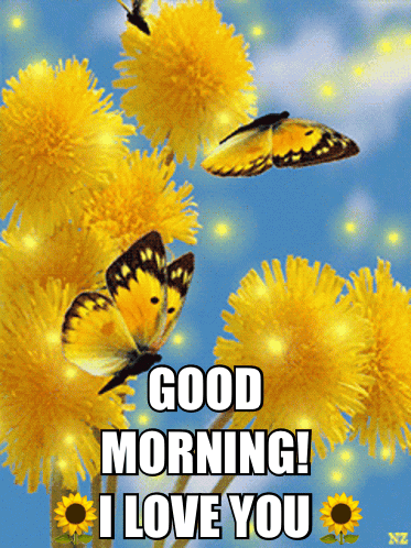 Good Morning I Love You - Butterflies & Flowers