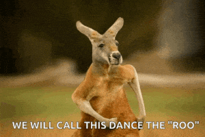 Kangaroo's 'The Roo' Dance
