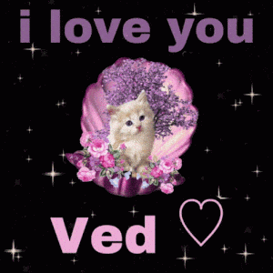 I Love You Ved Card with Cat