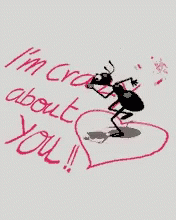 Dancing Ant: I'm Crazy About You!