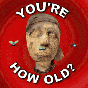 You're How Old? Funny Birthday Mummy