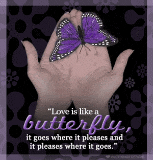 Love is Like a Butterfly Quote