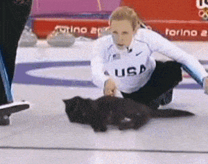 Funny Cat Interrupts Curling Match at Olympics