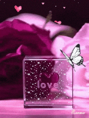 Love You