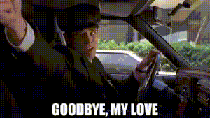 Goodbye, My Love