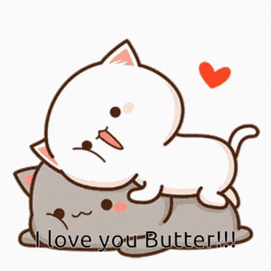 I Love You Butter! Cute Cats Hugging