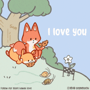 I Love You: Cute Foxes & Cookies