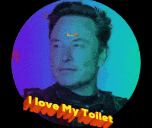 Elon Musk with 'I Love My Toilet' text