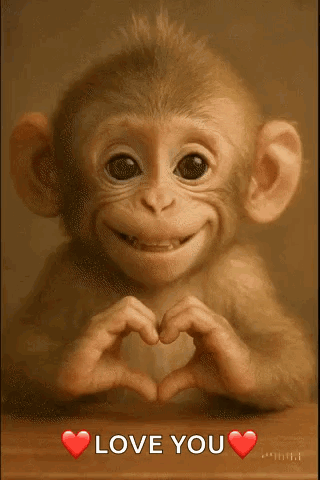 Love I Love You