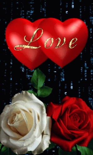 I Love You Roses