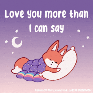 Love You More Than I Can Say - Cute Sleeping Fox