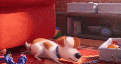Happy and Excited Dog