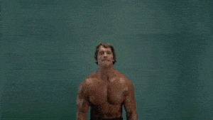Arnold Schwarzenegger Funny Cat Meme