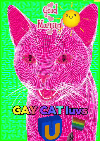 Gay Cat Luvs U: Good Morning Meme