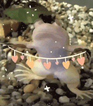 Love The Froggiest Frog with Hearts and Sparkles