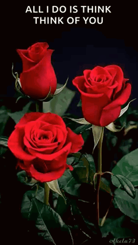 Love Sorry