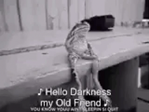 Sad Kermit Frog: Hello Darkness My Old Friend