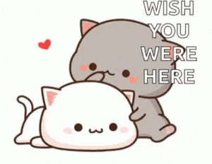 Cute Cats Cuddle with 'Wish You Were Here' Message