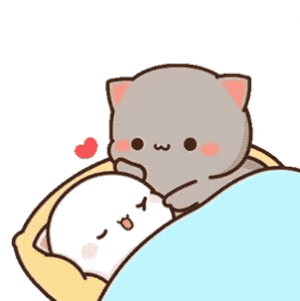 Cute Cats Sleeping Together