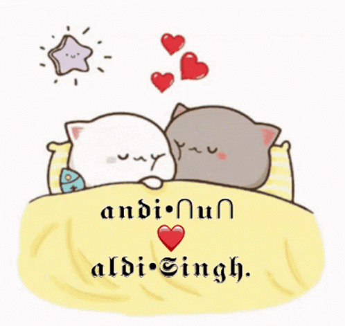 Aldinun Aldisingh: Cute Cats in Bed