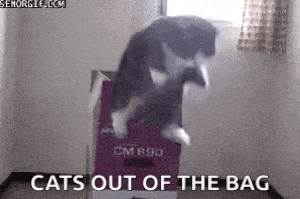 Cats Out of the Bag