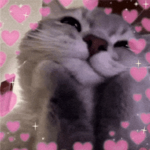Cat Kitty
