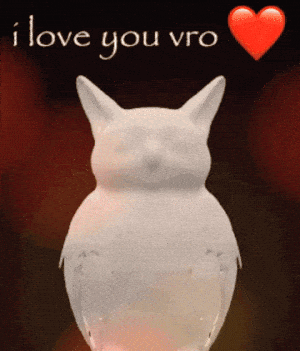 Cat Owl: I Love You Vro