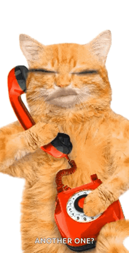 Hello Call Me
