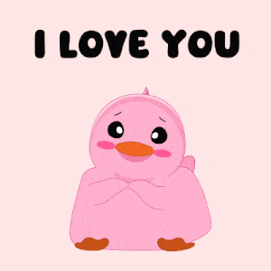 Big Love Couple: Shy Pink Duck Says I Love You