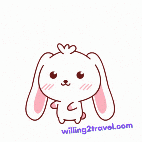 Hello Bunny Animation