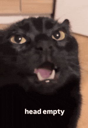 Head Empty Black Cat Meme