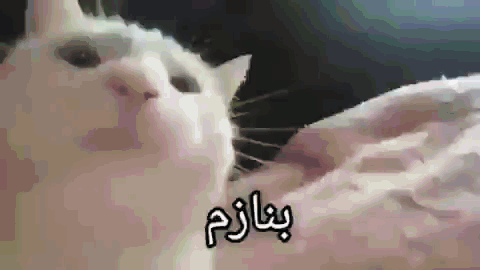 گربه بنازم - میم خنده دار